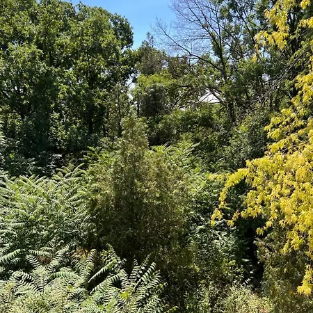 Domek letniskowy Forest House Eforie Nord