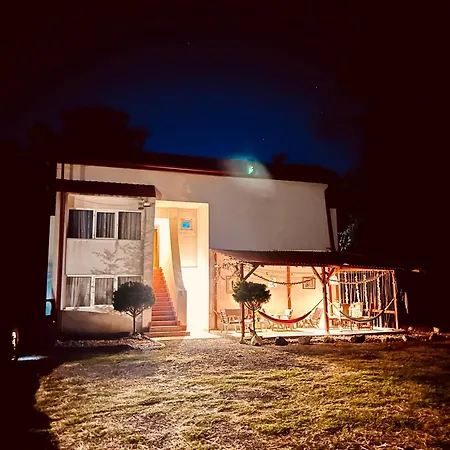 Domek letniskowy Forest House