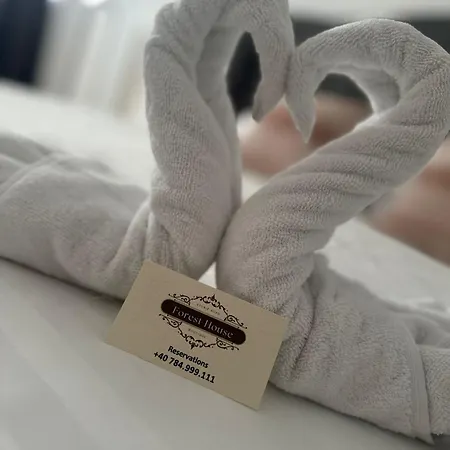 Forest House * Eforie Nord